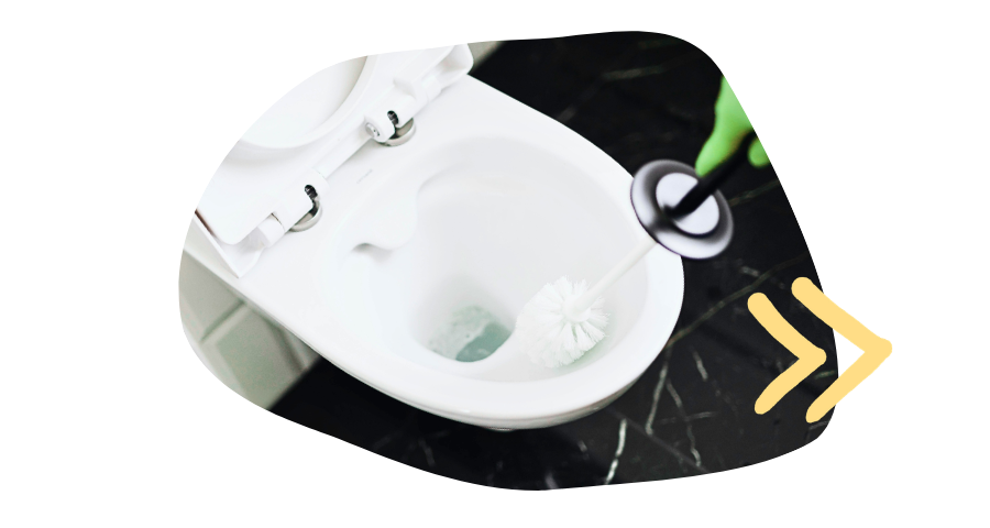 Brosse nettoyant les parois des toilettes avec vinaigre d'alcool bio - Grand Beau