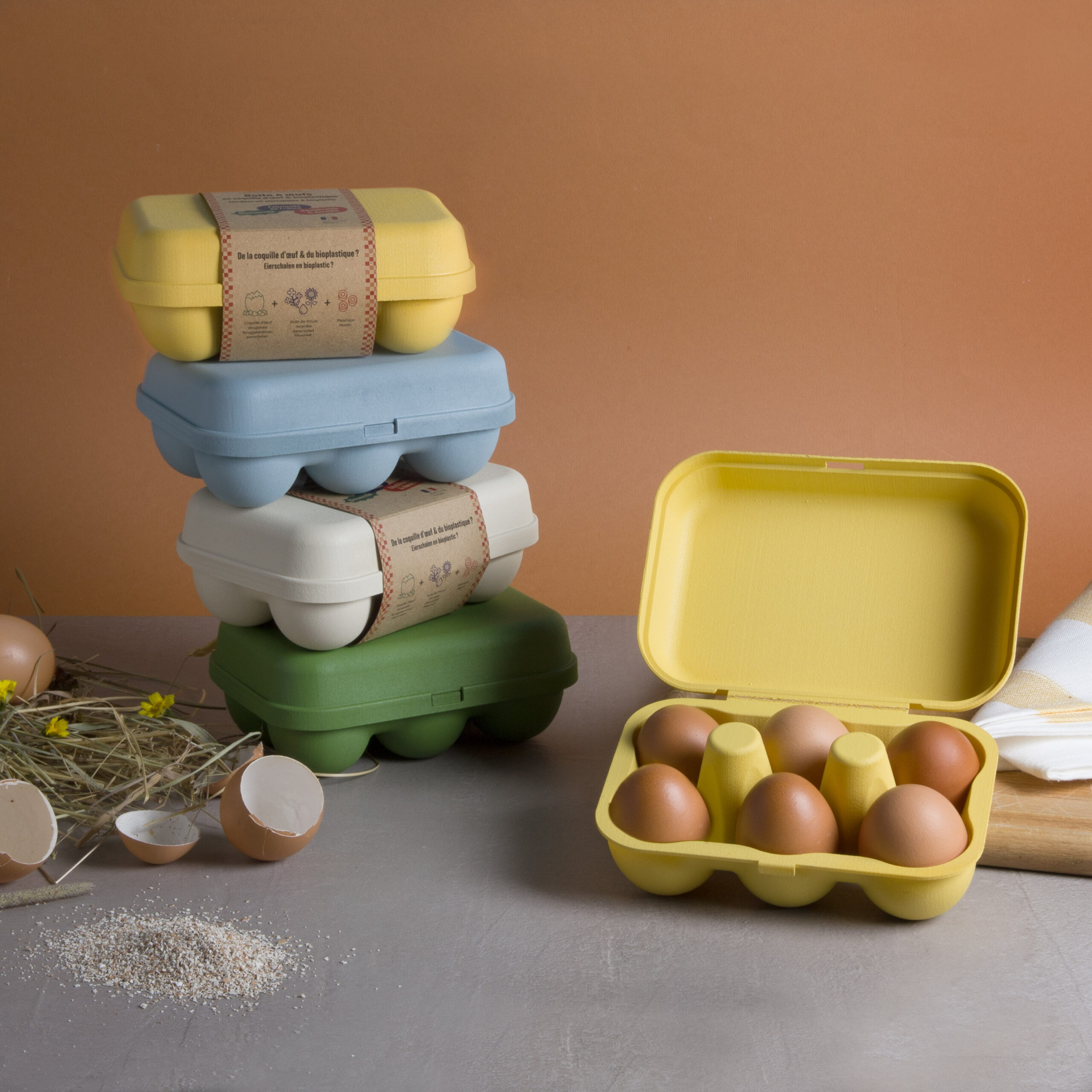 Boîtes à oeufs dans la cusine fabriquées à partir de coquilles d'oeufs - Grand Beau