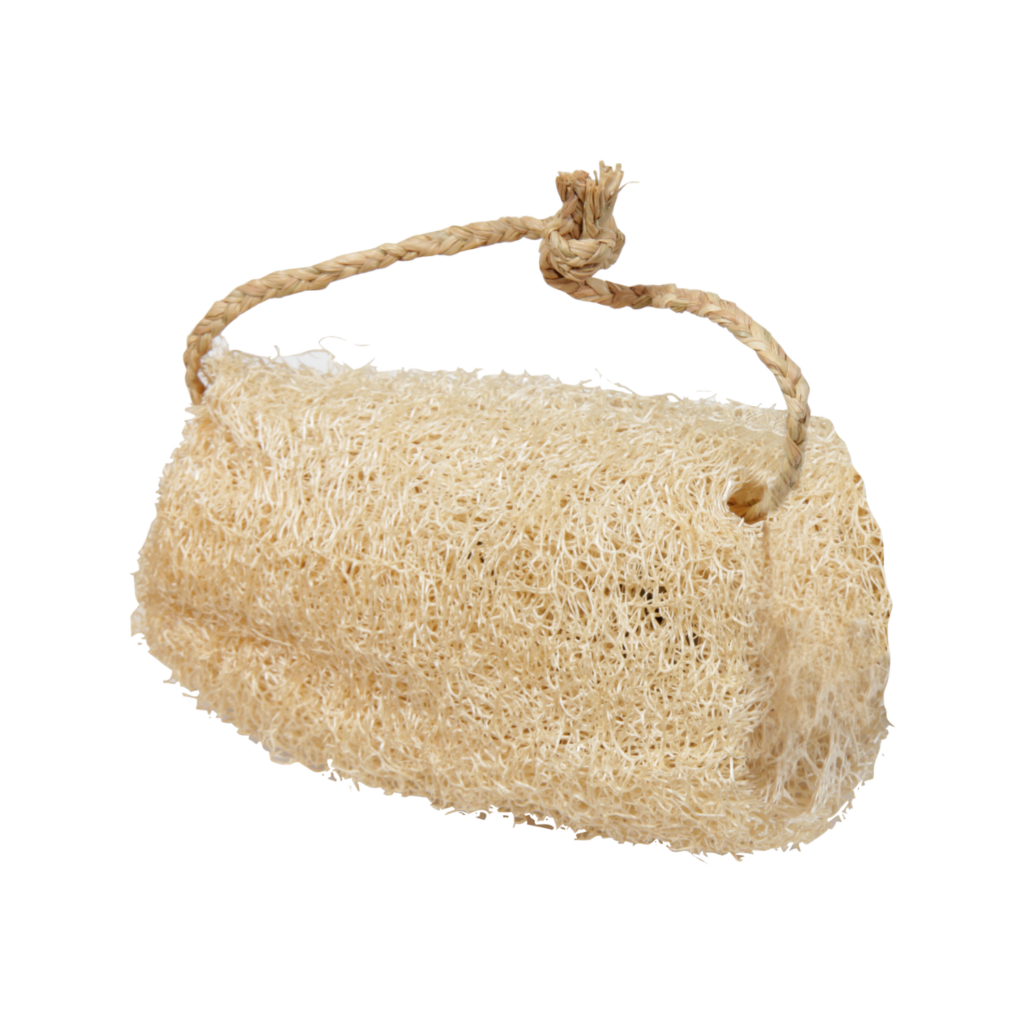 Luffa pour le bain