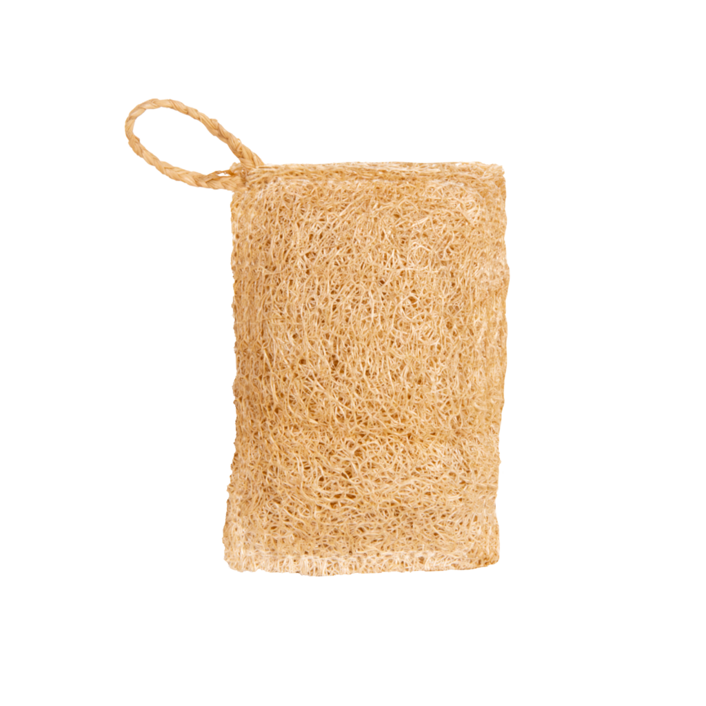 Eponge vaisselle en luffa compostable